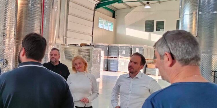 ΔΙΟΝΥΣΙΑ ΑΥΓΕΡΙΝΟΠΟΥΛΟΥ: “Ενίσχυση των κτηνοτρόφων με 89 εκτ. Ευρώ”