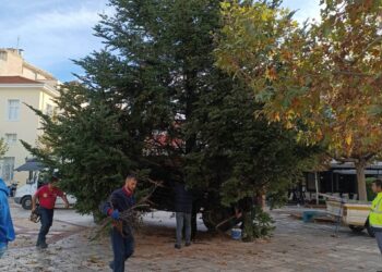 ΔΗΜΟΣ ΠΥΡΓΟΥ: Τοποθετήθηκε το χριστουγεννιάτικο δέντρο στην κεντρική πλατεία της πόλης