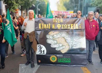 ΟΙΚΟΛΟΓΟΙ ΠΡΑΣΙΝΟΙ: “Οι Έλληνες και πάλι στους δρόμους, διεκδικούν ακόμα μία φορά αξιοπρεπή διαβίωση”