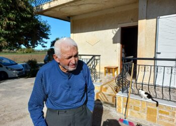 ΔΗΜΟΣ ΠΗΝΕΙΟΥ: Άμεση και οριστική λύση από τον Δήμαρχο για τον Θοδωρή