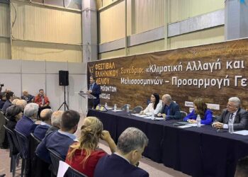 ΠΕΡΙΦΕΡΕΙΑ ΔΥΤΙΚΗΣ ΕΛΛΑΔΑΣ: Συμμετοχή στο 13ο Φεστιβάλ Μελιού  – Ψηφιακή μελισσοκομική ταυτότητα και ενίσχυση του κλάδου της μελισσοκομίας