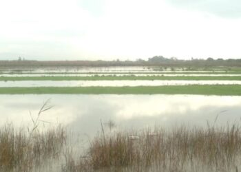 Προγραμματική Σύμβαση για την αξιοποίηση της Λίμνης Μουριάς