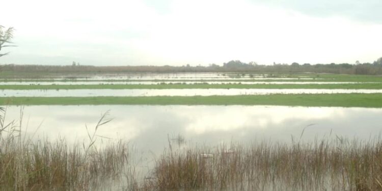 Προγραμματική Σύμβαση για την αξιοποίηση της Λίμνης Μουριάς