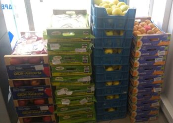 ΔΗΜΟΣ ΠΥΡΓΟΥ: Διανομή φρούτων στη ΔΕΥΑΠ και νερών σε καταυλισμούς Ρομά