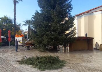 ΔΗΜΟΣ ΗΛΙΔΑΣ: Εντυπωσιακό το Χριστουγεννιάτικο δέντρο στην Αμαλιάδα