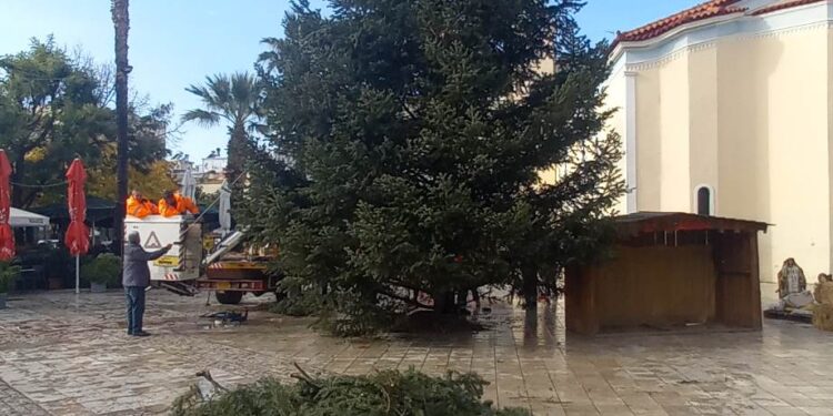 ΔΗΜΟΣ ΗΛΙΔΑΣ: Εντυπωσιακό το Χριστουγεννιάτικο δέντρο στην Αμαλιάδα