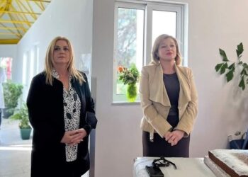 ΑΡΙΣΤΕΑ ΠΑΠΑΔΟΠΟΥΛΟΥ: Ευχαριστήριο προς την Βουλευτή Ηλείας Διονυσία Αυγερινοπούλου