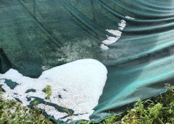 Εκτεταμένες καταστροφές από τα ακραία καιρικά φαινόμενα