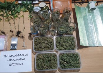 ΓΑΣΤΟΥΝΗ: Σύλληψη για καλλιέργεια και κατοχή ναρκωτικών