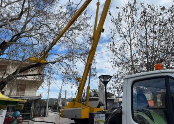 ΔΗΜΟΣ ΖΑΧΑΡΩΣ: Κλάδεμα και τμηματική κοπή επικίνδυνων δέντρων στο Δήμο και τις Τοπικές Κοινότητες