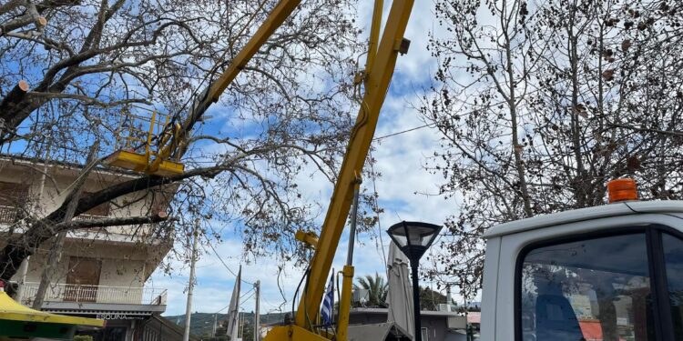ΔΗΜΟΣ ΖΑΧΑΡΩΣ: Κλάδεμα και τμηματική κοπή επικίνδυνων δέντρων στο Δήμο και τις Τοπικές Κοινότητες