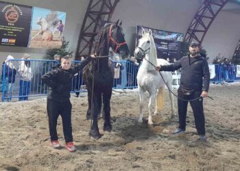 ΙΠΠΙΚΟΣ ΟΜΙΛΟΣ ΔΗΜΟΥ ΠΗΝΕΙΟΥ: Εντυπωσιακή συμμετοχή στην 12η Διεθνή Έκθεση Zootechnia 2023