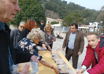 ΔΗΜΟΣ ΠΥΡΓΟΥ: Ξεπέρασαν κάθε προηγούμενο οι Αποκριάτικες εκδηλώσεις (φωτος)