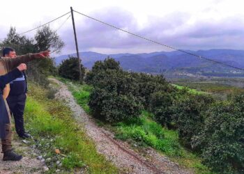 ΔΙΟΝΥΣΙΑ ΑΥΓΕΡΙΝΟΠΟΥΛΟΥ: Εγκρίθηκε η χρηματοδότηση για τον δρόμο Καλυβάκια-Φρίξα