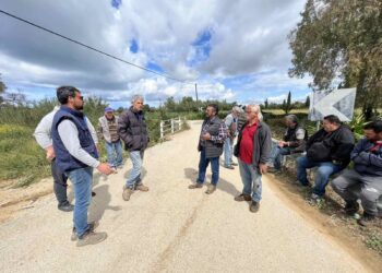 ΟΜΟΣΠΟΝΔΙΑ ΑΓΡΟΤΙΚΩΝ ΣΥΛΛΟΓΩΝ ΗΛΕΙΑΣ: Απαιτεί άμεσα μέτρα στήριξης των παραγωγών που «χτυπήθηκαν» απ’ τις χαλαζοπτώσεις