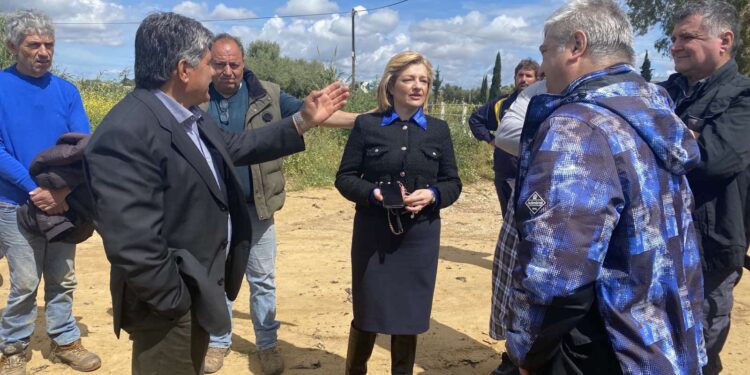 ΔΙΟΝΥΣΙΑ ΑΥΓΕΡΙΝΟΠΟΥΛΟΥ: “Άμεσα καταγράφονται οι ζημίες από το χαλάζι”
