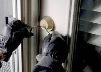Εξιχνιάστηκαν 14 κλοπές και φθορές ξένης ιδιοκτησίας σε οικίες και αποθήκες στον Ερύμανθο Αχαΐας