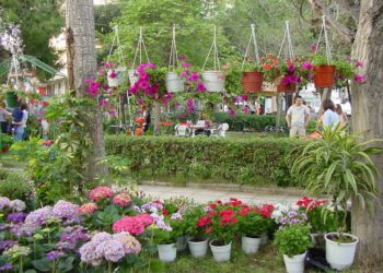 ΟΙΚΟΝΟΜΙΚΗ ΥΠΗΡΕΣΙΑ ΔΗΜΟΥ ΗΛΙΔΑΣ: Εγκρίσεις διαγωνισμών έργων