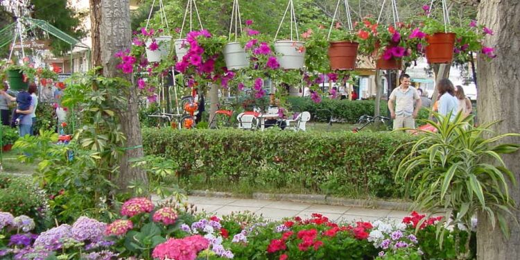 ΟΙΚΟΝΟΜΙΚΗ ΥΠΗΡΕΣΙΑ ΔΗΜΟΥ ΗΛΙΔΑΣ: Εγκρίσεις διαγωνισμών έργων