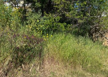 “Καθαρίζουμε τα οικόπεδα για την αποφυγή εκδήλωσης πυρκαγιών”