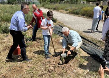 ΠΕΡΙΦΕΡΕΙΑ ΔΥΤΙΚΗΣ ΕΛΛΑΔΑΣ: Συνεργασία μεταξύ Σλοβενίας και Ελλάδας για τους Επικονιαστές και τη Μελισσοκομία