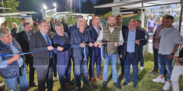 ΝΕΚΤΑΡΙΟΣ ΦΑΡΜΑΚΗΣ: “Στόχος μας η διασύνδεση του Αγροδιατροφικού τομέα με τον Τουρισμό”
