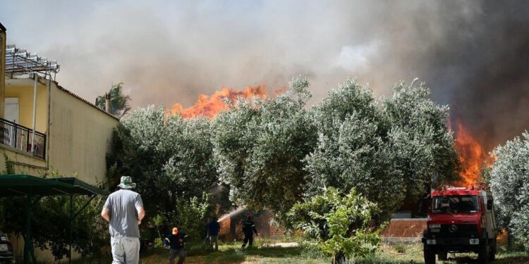 Εκτιμήσεις από τον ΕΛΓΑ Πατρών για ζημιές από πυρκαγιά του 2022