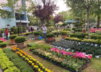 Εγκαινιάστηκε η 21η Πανηλειακή Ανθοκομική Έκθεση Αμαλιάδας!