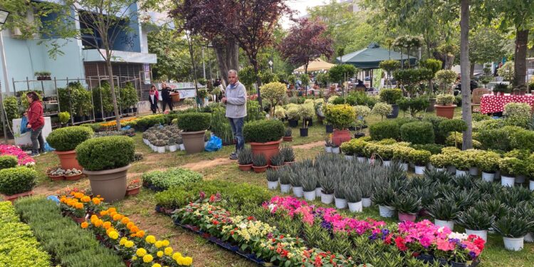 Εγκαινιάστηκε η 21η Πανηλειακή Ανθοκομική Έκθεση Αμαλιάδας!