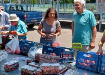 ΤΣΙΡΩΝΗΣ: “Οι βιοκαλλιεργητές αποτελούν μια δυναμική κατηγορία στον Αγροτικό τομέα”