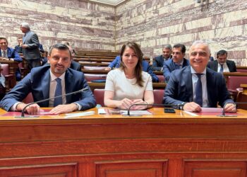 ΑΝΔΡΕΑΣ ΝΙΚΟΛΑΚΟΠΟΥΛΟΣ: Αντιπρόεδρος στην Διαρκή Επιτροπή Δημόσιας Διοίκησης, Τάξης και Δικαιοσύνης της Βουλής