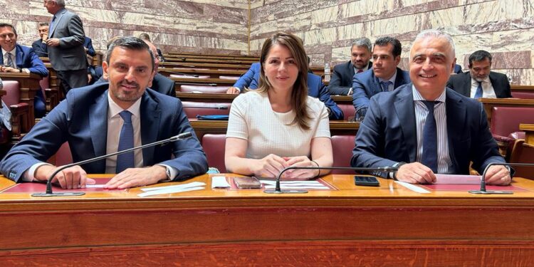 ΑΝΔΡΕΑΣ ΝΙΚΟΛΑΚΟΠΟΥΛΟΣ: Αντιπρόεδρος στην Διαρκή Επιτροπή Δημόσιας Διοίκησης, Τάξης και Δικαιοσύνης της Βουλής