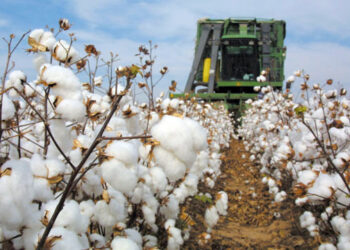 ΔΙΕΥΘΥΝΣΗ ΑΓΡΟΤΙΚΗΣ ΟΙΚΟΝΟΜΙΑΣ Π.Ε. ΗΛΕΙΑΣ: Φυτοπροστασία στην βαμβακοκαλλιέργεια της Π.Ε. Ηλείας