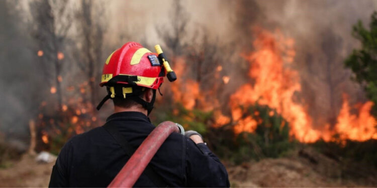 Υψηλός κίνδυνος πυρκαγιάς σήμερα στην Ηλεία