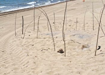 ΔΗΜΟΣ ΠΥΡΓΟΥ: “Πρώτα η ανίχνευση και μετά ο καθαρισμός παραλιών”