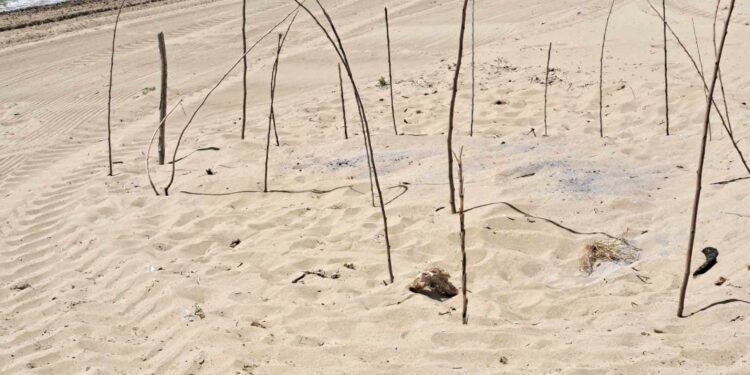 ΔΗΜΟΣ ΠΥΡΓΟΥ: “Πρώτα η ανίχνευση και μετά ο καθαρισμός παραλιών”