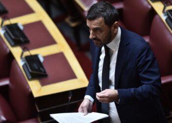 ΑΝΔΡΕΑΣ ΝΙΚΟΛΑΚΟΠΟΥΛΟΣ: “Καίριες παρεμβάσεις για την πυροπροστασία στην Ηλεία”