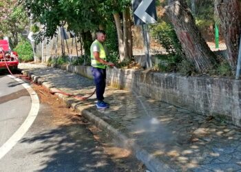 ΔΗΜΟΣ ΖΑΧΑΡΩΣ: Ολοκλήρωση εργασιών καθαρισμού και αποψιλώσεων στη Δ.Ε. Φιγαλείας