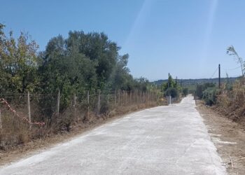 ΔΗΜΟΣ ΠΥΡΓΟΥ: Στην τελική ευθεία για το έργο “Βελτίωση της πρόσβασης σε γεωργική γη και κτηνοτροφικές εκμεταλλεύσεις”