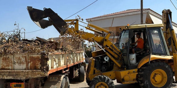 Σύσταση να μην απορρίπτονται κλαδιά στους δρόμους και στα πεζοδρόμια