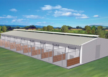 ΔΗΜΟΣ ΑΝΔΡΑΒΙΔΑΣ – ΚΥΛΛΗΝΗΣ: Εγκρίθηκε η κατασκευή καταφυγίου αδέσποτων ζώων συντροφιάς