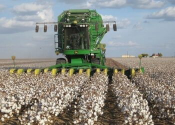 ΔΙΕΥΘΥΝΣΗ ΑΓΡΟΤΙΚΗΣ ΟΙΚΟΝΟΜΙΑΣ Π.Ε. ΗΛΕΙΑΣ: Δελτίο γεωργικών προειδοποιήσεων ολοκληρωμένης φυτοπροστασίας στην βαμβακοκαλλιέργεια της Π.Ε. Ηλείας