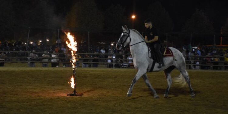 Η μεγάλη ιππική γιορτή πλησιάζει!