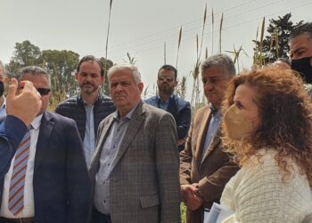 ΝΕΚΤΑΡΙΟΣ ΦΑΡΜΑΚΗΣ: “Έργα για όλους!”