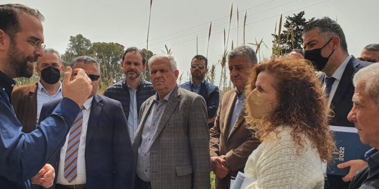 ΝΕΚΤΑΡΙΟΣ ΦΑΡΜΑΚΗΣ: “Έργα για όλους!”