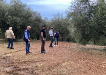 ΑΡΗΣ ΠΑΝΑΓΙΩΤΟΠΟΥΛΟΣ: “Διαβεβαίωση για άμεση επίσκεψη του ΕΛΓΑ στις πληγείσες περιοχές”