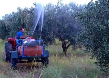 Π.Ε. ΗΛΕΙΑΣ: Δολωματικοί ψεκασμοί σε Τοπικές Κοινότητες του νομού