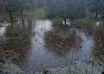 Μεγάλες ζημιές από το χαλάζι στο Δήμο Αρχαίας Ολυμπίας