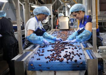ΠΕΡΙΦΕΡΕΙΑ ΔΥΤΙΚΗΣ ΕΛΛΑΔΑΣ: Με τις καλύτερες εντυπώσεις ολοκληρώθηκε η επίσκεψη εργασίας επαγγελματιών από ΗΠΑ και Ηνωμένο Βασίλειο στην Αιτωλοακαρνανία και Ηλεία