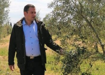 ΘΕΟΔΩΡΟΣ ΒΑΣΙΛΟΠΟΥΛΟΣ: “Υπουργείο και ΟΠΕΚΕΠΕ  να πληρώσουν όπως πέρυσι τις επιδοτήσεις!”